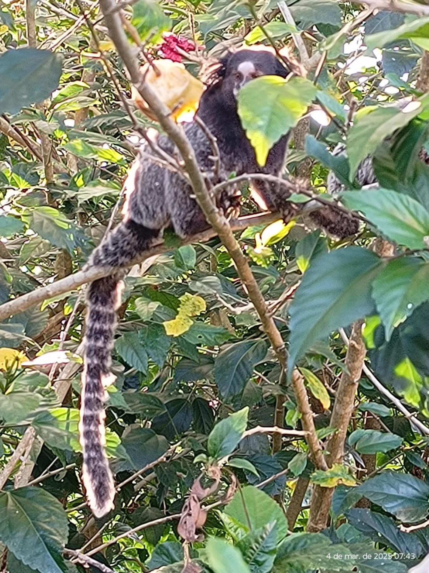 Casa De Retiro Sao Paulo